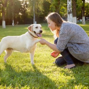 Animal Care and Psychology