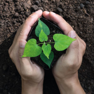 Environmental Health