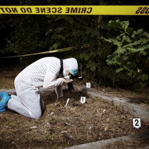 Criminal Investigation