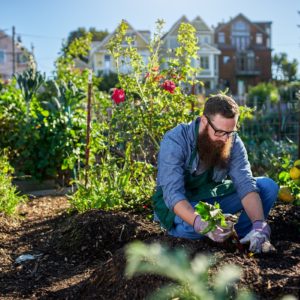 Gardening - Garden Design