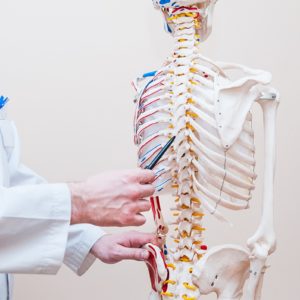 Level 3 Diploma in Anatomy and Physiology of Human Body