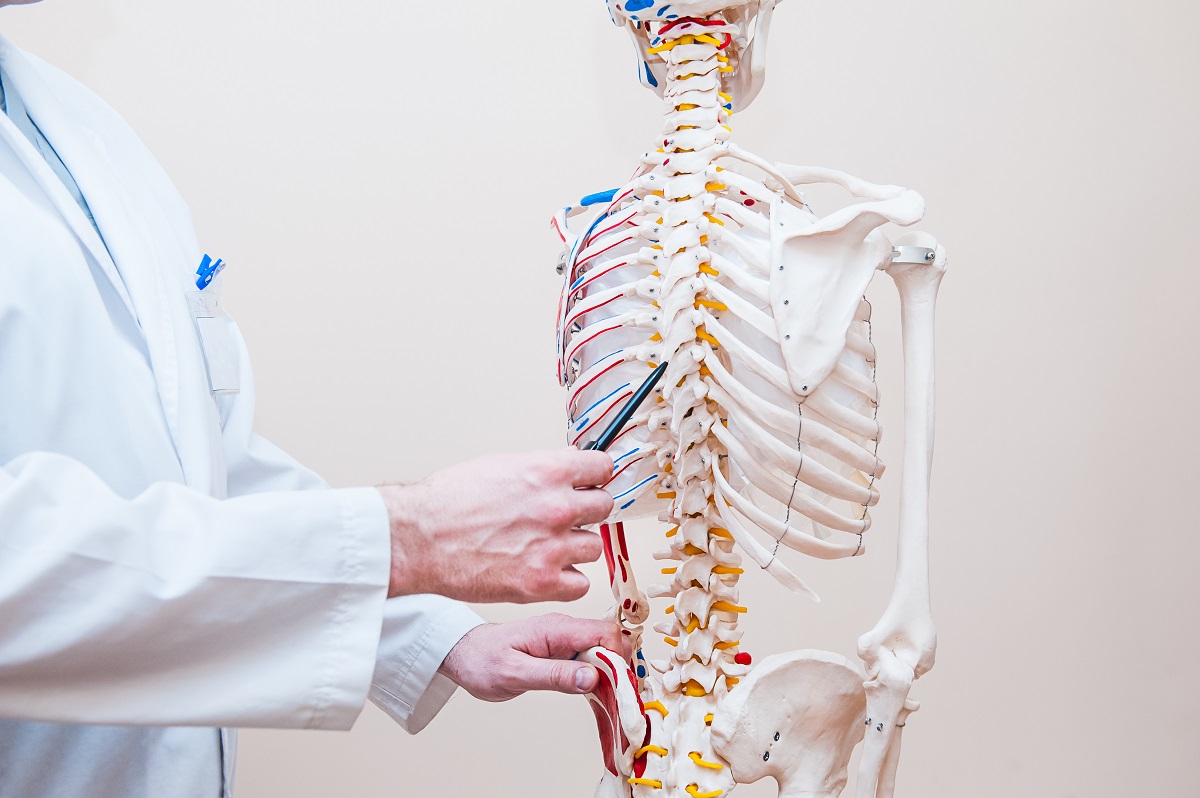 Level 3 Diploma in Anatomy and Physiology of Human Body