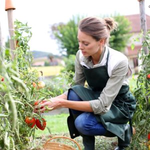 Kitchen Gardening