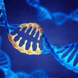 Genetics