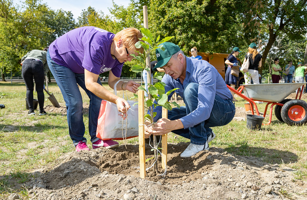 Arboriculture & Tree Plantation