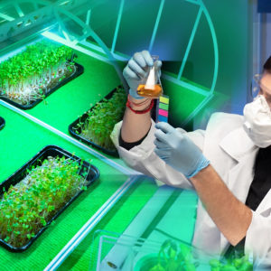 Botany