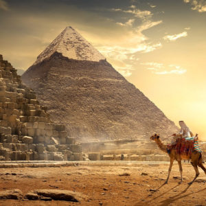 Egyptology : Introduction to Ancient Egypt