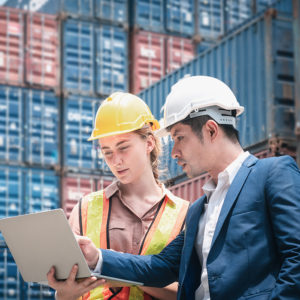 Import/Export Administrator