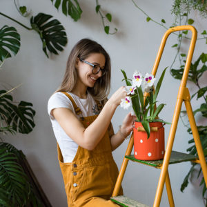 Kitchen Gardening