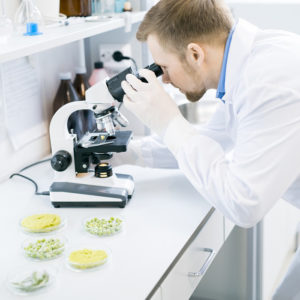 Microbiology Diploma