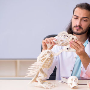 Zoology & Animal Science