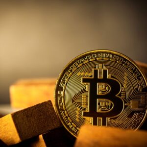 Crypto Masterclass: Bitcoin, Altcoins, NFTs, DeFi, Metaverse